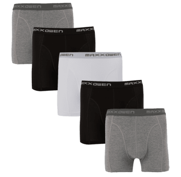 Boru Bamboo Boxershort 5-Pack Grijs